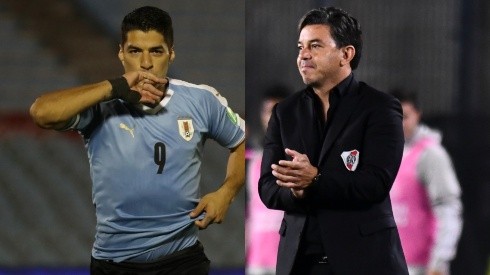 El Pistolero se hizo eco de los rumores de Gallardo a la Selección de Uruguay.