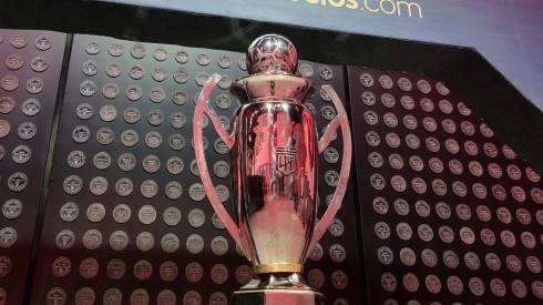 El trofeo de la Liga Profesional luce radiante en el Museo.