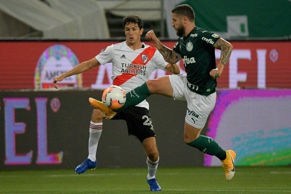 nacho fernandez palmeiras
