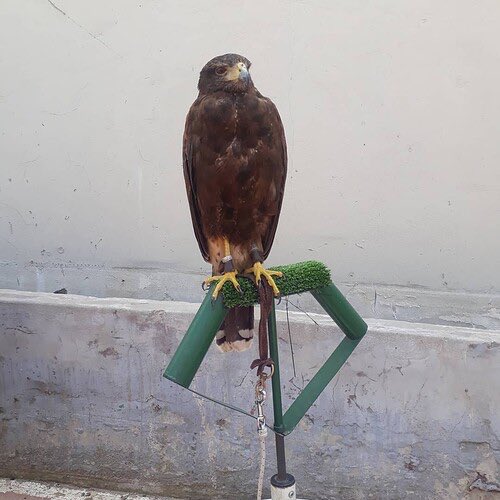 Foto: @SoyMatiMedina