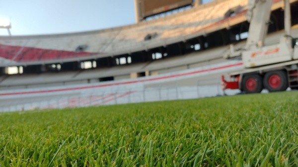 El césped está cada vez mejor y llegará óptimo al domingo.